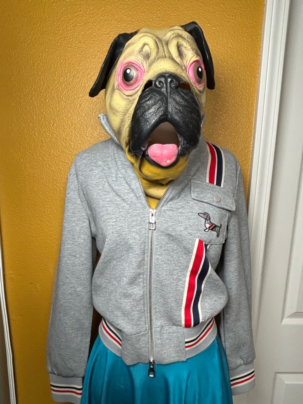 Coolest, wiener dog, athletic jacket!!